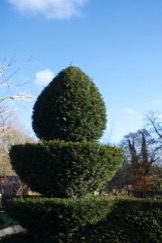 West Lexham topiary
